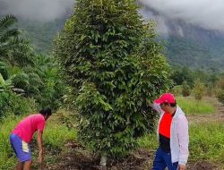 Lasarus: Sosok Pecinta Lingkungan