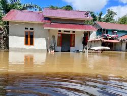 Banjir Rendam Tiga Dusun di Desa Nyangkom, 96 Rumah Warga Terdampak